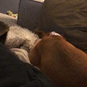 Meet your Posher, Brandon